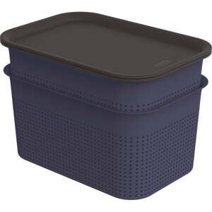 Tmavomodré plastové úložné boxy s vekom v súprave 2 ks 18,5x26,5x18 cm Brisen – Rotho