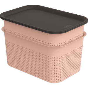 Svetloružové plastové úložné boxy s vekom v súprave 2 ks 18,5x26,5x18 cm Brisen – Rotho