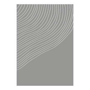 Sivý koberec 80x150 cm Coastalina – Bonami Selection