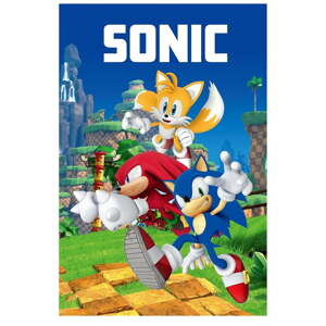 Fleecová detská deka 100x150 cm Sonic – Jerry Fabrics
