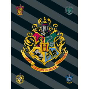 Fleecová detská deka 100x150 cm Harry Potter – Jerry Fabrics