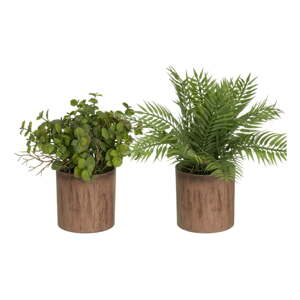 Umelé rastliny v súprave 2 ks (výška  22 cm) – Casa Selección