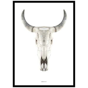 Plagát v ráme 50x70 cm Cow Skull – Malerifabrikken