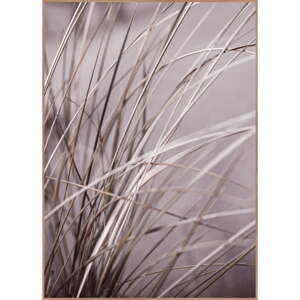 Plagát v ráme 50x70 cm Mellow Grasses 1 – Malerifabrikken