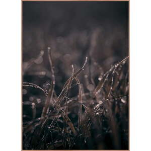 Plagát v ráme 50x70 cm Mellow Grasses 5 – Malerifabrikken