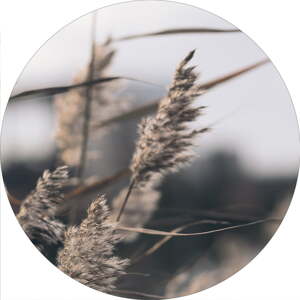 Obrázok ø 40 cm Mellow Grasses 3 – Malerifabrikken