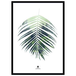 Plagát v ráme 50x70 cm Palm Leaf – Malerifabrikken