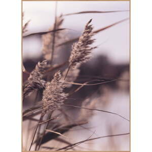 Plagát v ráme 50x70 cm Mellow Grasses 3 – Malerifabrikken