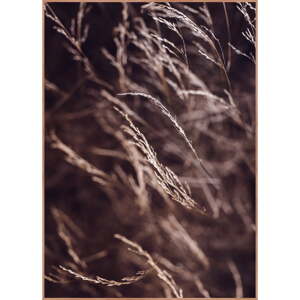 Plagát v ráme 50x70 cm Mellow Grasses 7 – Malerifabrikken