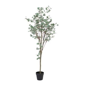 Umelý eukalyptus (výška  180 cm) Eucalyptus – Ixia