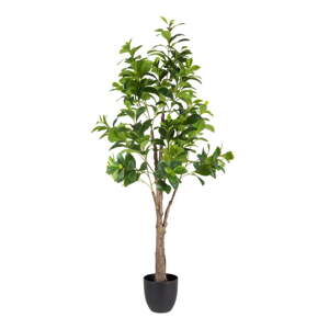 Umelá rastlina (výška  145 cm) Peperomia – Ixia