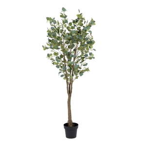 Umelý eukalyptus (výška  173 cm) Eucalyptus – Ixia