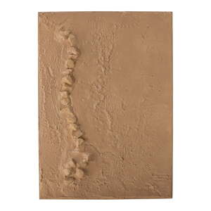 Obraz 50x70 cm Sisken – Bloomingville