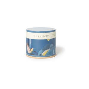 Vonná sviečka doba horenia 50 h Citrus Crush – ILLUME x Bloomingville