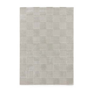 Svetlosivý koberec 200x290 cm Elio Silver – Think Rugs