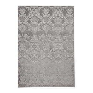Sivý koberec 160x235 cm Imperial Slate – Think Rugs