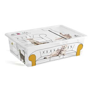 Biely plastový úložný box s vekom 55x39x16 cm C Box Style – KIS
