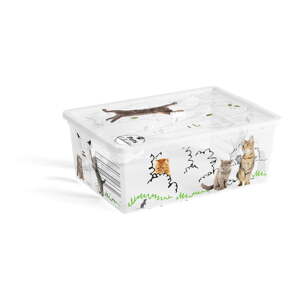 Biely plastový úložný box s vekom 37x26x15 cm C Box Style – KIS