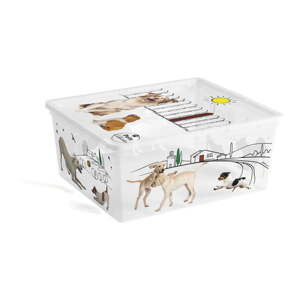 Biely plastový úložný box s vekom 40x34x17 cm C Box Style – KIS