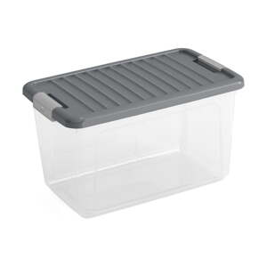 Plastový úložný box s vekom 49x30x28, 5 cm W box M – KIS