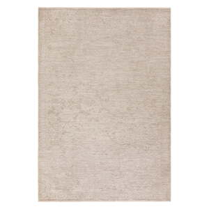 Béžový koberec 240x320 cm Laurent Beige Natural – Asiatic Carpets