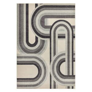 Sivo-béžový koberec 200x290 cm Nova Retro Grey – Asiatic Carpets
