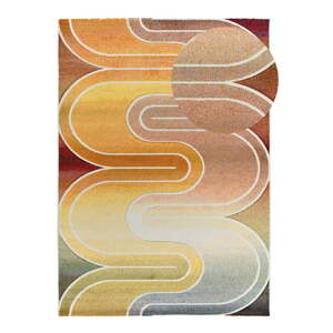 Koberec 120x170 cm Sybil – Universal