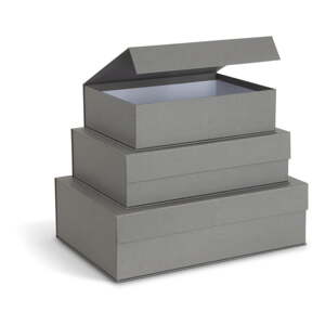 Sivé kartónové úložné boxy v súprave 3 ks s vekom/dekoratívne 42,5x29,5x13 cm Kian Paper Laminate – Bigso
