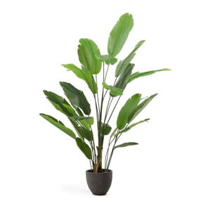 Umelý banánovník (výška  210 cm) – Kave Home