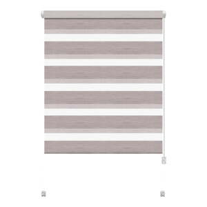 Taupe roleta deň a noc 97x150 cm Zebra Silvalin – Gardinia