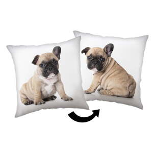 Detský vankúšik 40x40 cm Bulldog – Jerry Fabrics