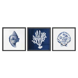 Obraz 30x30 cm Sea Treasure – Styler