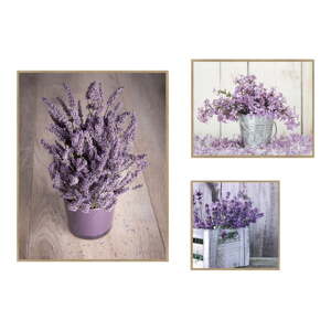 Obrazy v súprave 3 ks 40x50 cm Purple Flowers – knor