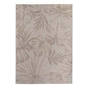 Béžový vnútorný a vonkajší koberec 120x170 cm Desert 1302 – Ayyildiz Carpets