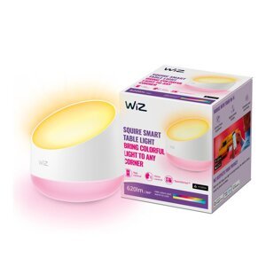 LED smart stolová lampa 9 W Squire – WiZ