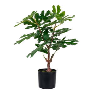 Umelá rastlina (výška  60 cm) Fig – House Nordic